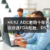 HER2 ADC老将十年苦旅终遇FDA拒批，DS-8201崛起隐忧（图1）