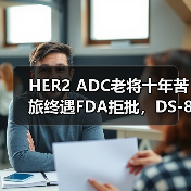 HER2 ADC老将十年苦旅终遇FDA拒批，DS-8201崛起隐忧（图2）