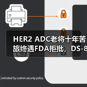 HER2 ADC老将十年苦旅终遇FDA拒批，DS-8201崛起隐忧（图3）