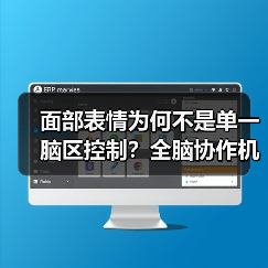 面部表情为何不是单一脑区控制?全脑协作机制揭秘(图2) 面部表情为何不是单一脑区控制?全脑协作机制揭秘(图2)