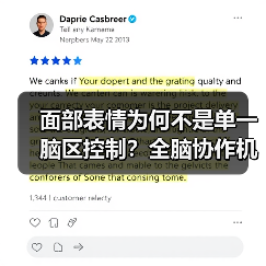 面部表情为何不是单一脑区控制?全脑协作机制揭秘(图3) 面部表情为何不是单一脑区控制?全脑协作机制揭秘(图3)