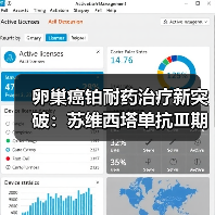 卵巢癌铂耐药治疗新突破:苏维西塔单抗Ⅲ期临床数据揭晓(图2) 卵巢癌铂耐药治疗新突破:苏维西塔单抗Ⅲ期临床数据揭晓(图2)