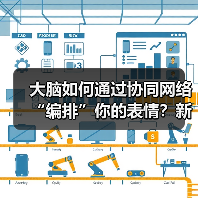 大脑如何通过协同网络“编排”你的表情？新研究颠覆传统认知（图1）