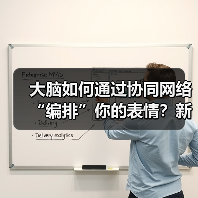大脑如何通过协同网络“编排”你的表情？新研究颠覆传统认知（图3）