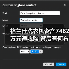 格兰仕洗衣机资产7462万元遭收购 背后有何布局?(图3) 格兰仕洗衣机资产7462万元遭收购 背后有何布局?(图3)