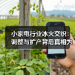 小家电行业冰火交织:调整与扩产背后真相为何?(图1) 小家电行业冰火交织:调整与扩产背后真相为何?(图1)