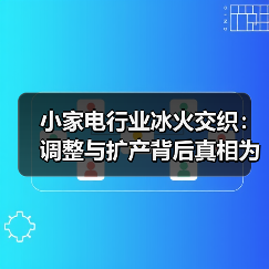 小家电行业冰火交织:调整与扩产背后真相为何?(图3) 小家电行业冰火交织:调整与扩产背后真相为何?(图3)