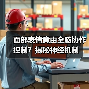 面部表情竟由全脑协作控制?揭秘神经机制(图1) 面部表情竟由全脑协作控制?揭秘神经机制(图1)