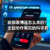 面部表情是怎么来的？全脑协作背后的科学真相（图3）