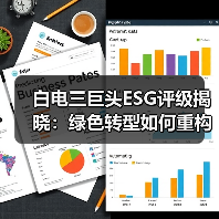 白电三巨头ESG评级揭晓:绿色转型如何重构行业竞争格局(图2) 白电三巨头ESG评级揭晓:绿色转型如何重构行业竞争格局(图2)