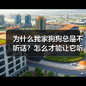 为什么我家狗狗总是不听话?怎么才能让它听我的?(图3) 为什么我家狗狗总是不听话?怎么才能让它听我的?(图3)