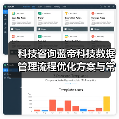 科技咨询蓝帝科技数据管理流程优化方案与常见问题解决（图2）