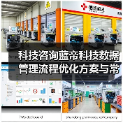 科技咨询蓝帝科技数据管理流程优化方案与常见问题解决（图3）